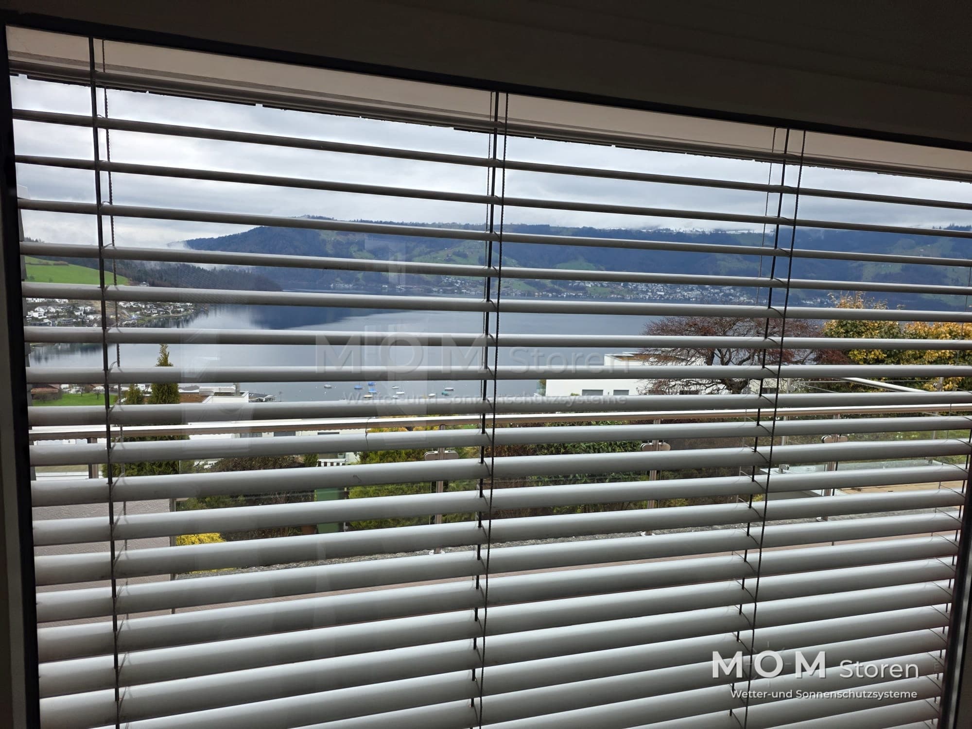 View between horizontal window slats